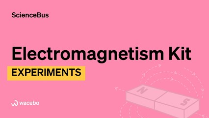 Elektromagnetismus